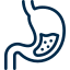 stomach